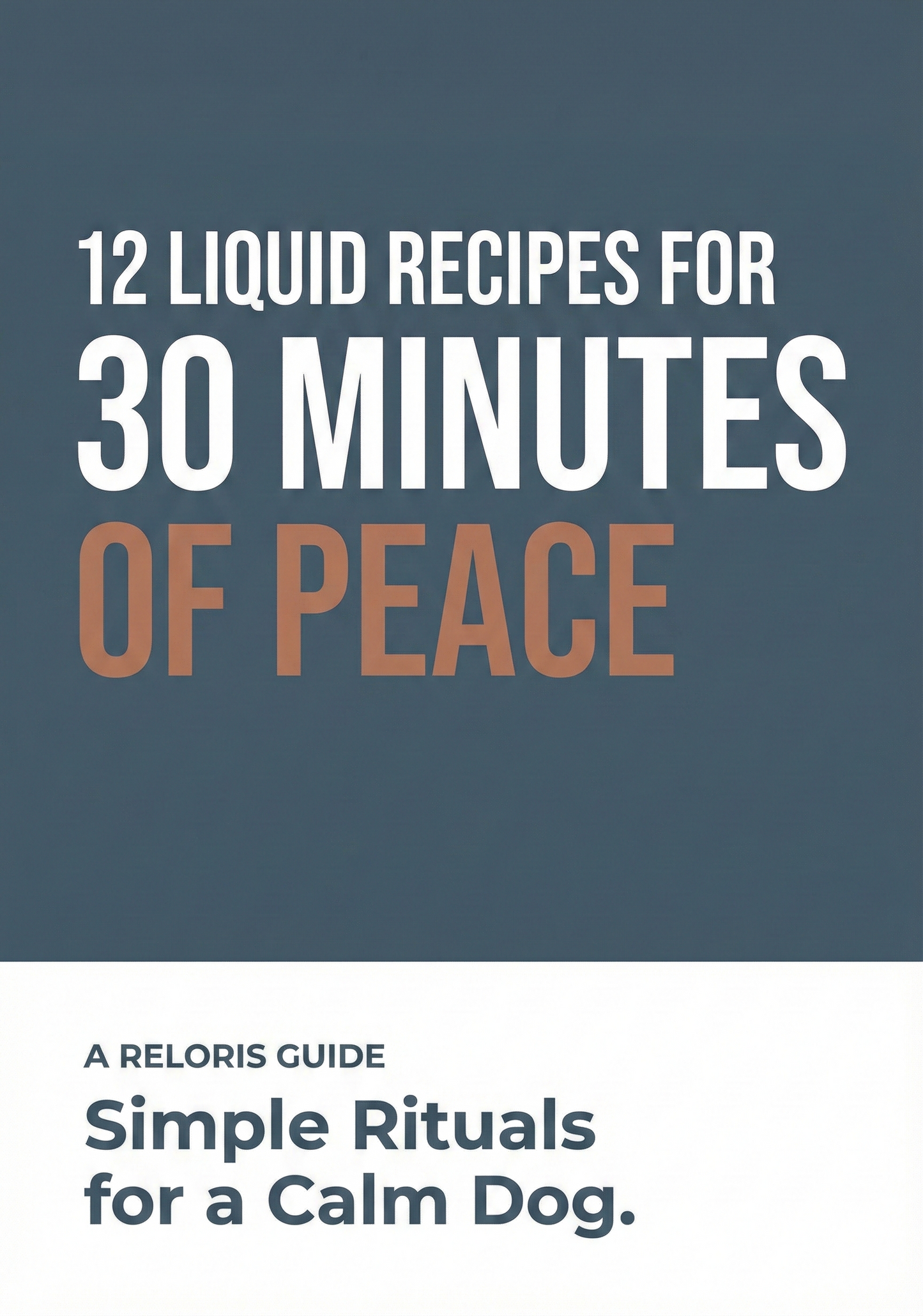 12 Liquid Recipes for 30 Minutes of Peace (E-Book)
