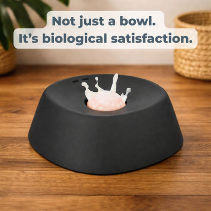 Slow Feeder Dog Bowl
